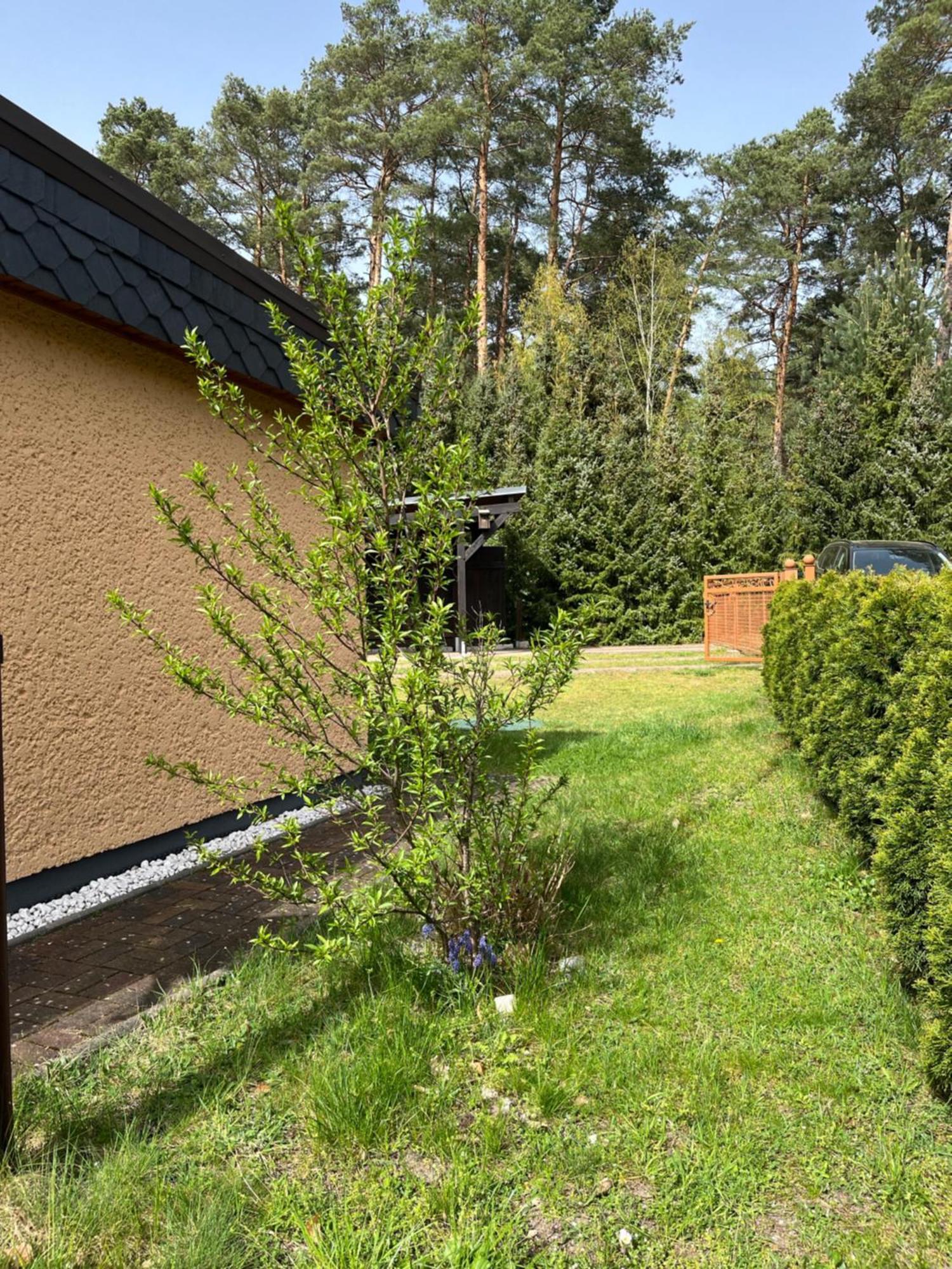 Ferienhaus Fjola Schenkendobern Eksteriør bilde